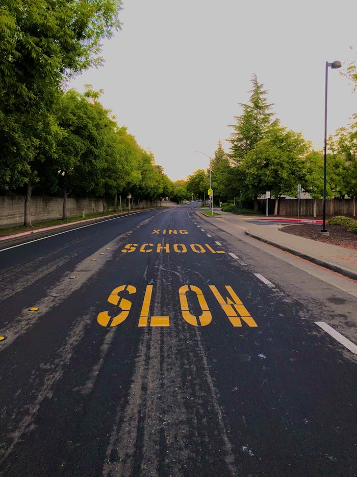 Empty road with school crossing warning markings, flanked by green trees.